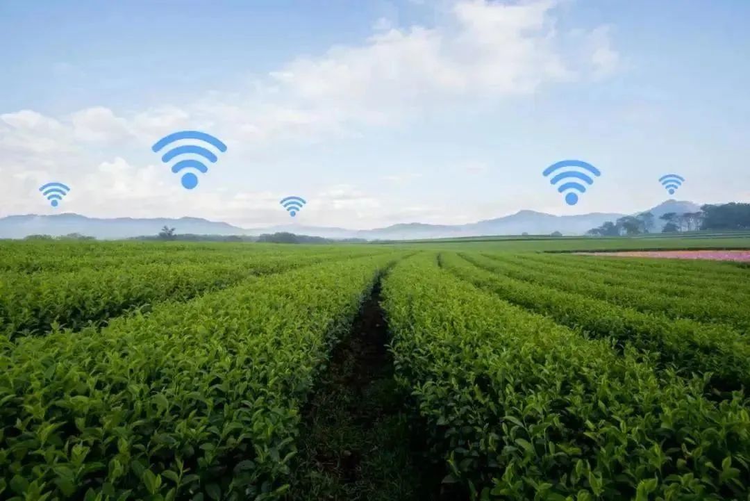 数字技术为传统农业带来更多可能性